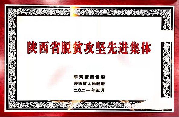 榆林合力公司榮獲陝西省脫貧攻堅先進集體稱號